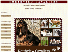 Tablet Screenshot of northviewcavaliers.com